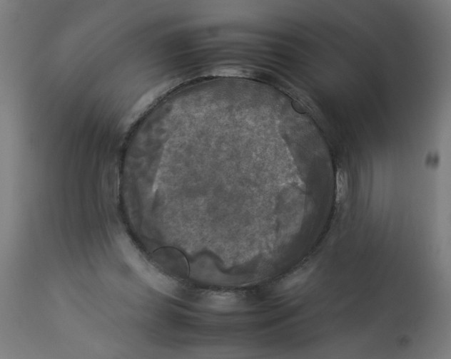 X0000113220349200910081346