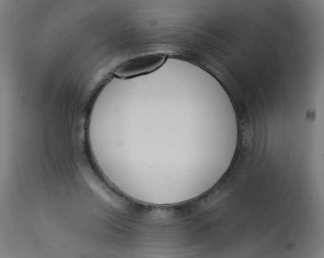 X0000113220350200910081346