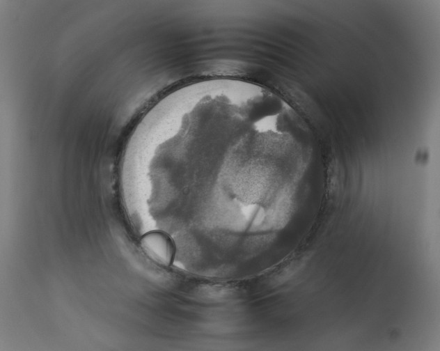 X0000113220351200910081346