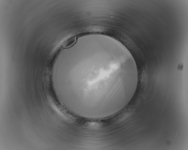X0000113220352200910081346