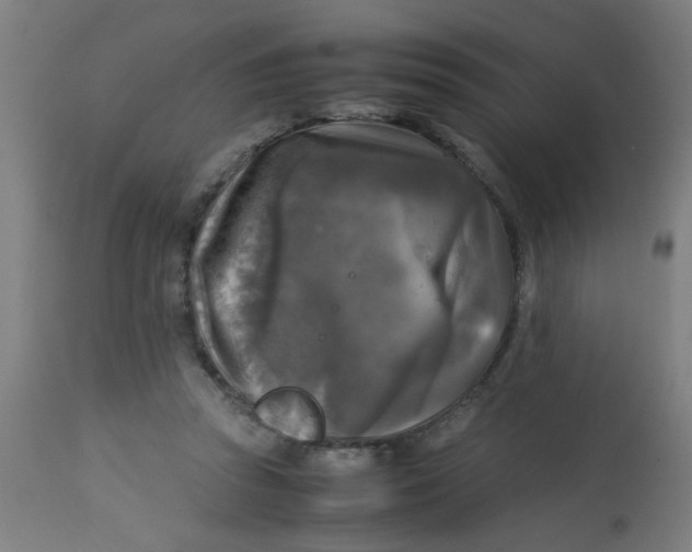 X0000113220353200910081346