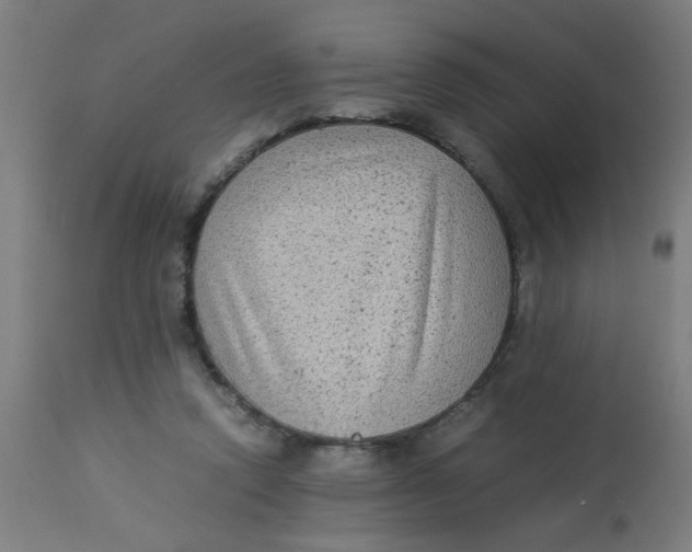 X0000113220354200910081346
