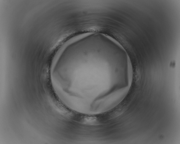X0000113220355200910081346