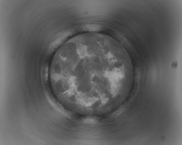 X0000113220358200910081347