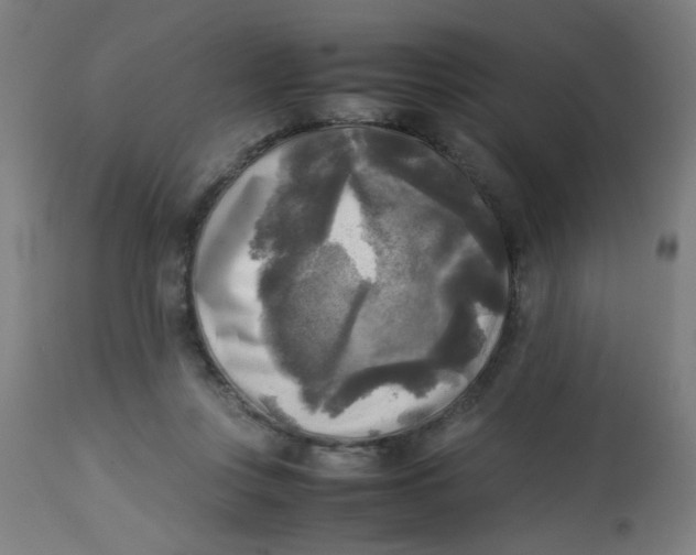 X0000113220359200910081347