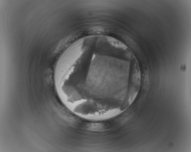 X0000113220361200910081347