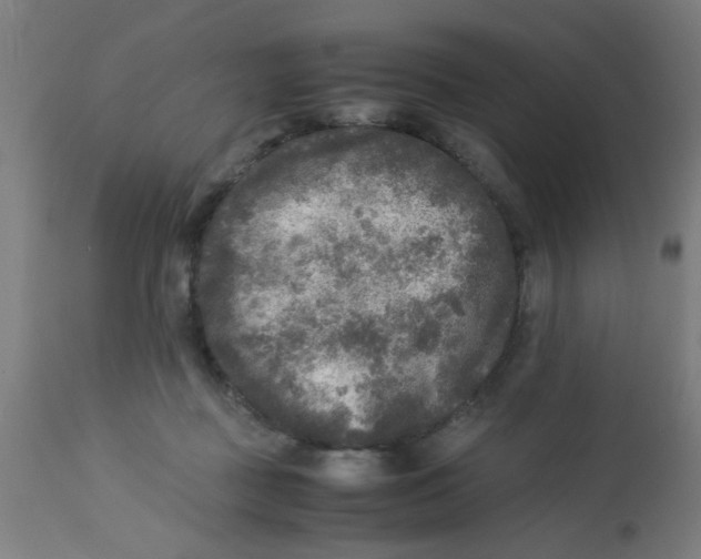 X0000113220363200910081347