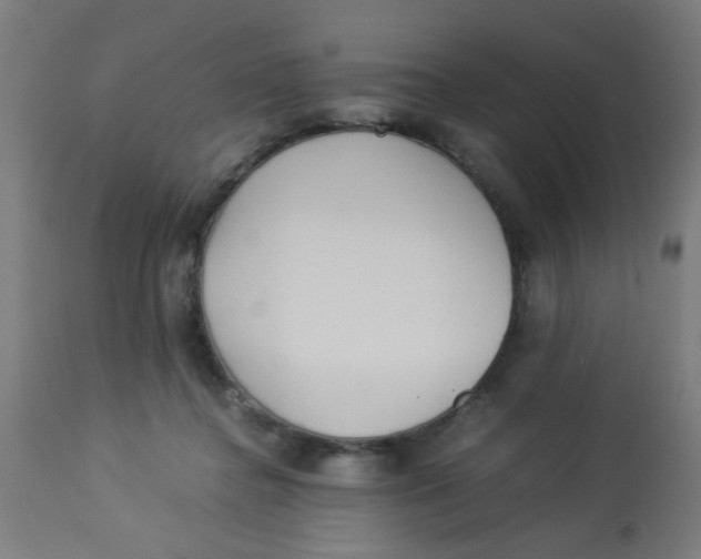 X0000113220364200910081347