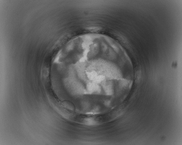 X0000113220365200910081347