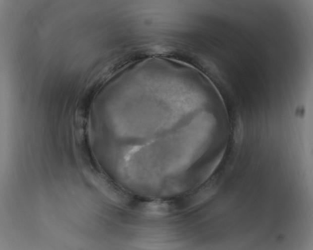 X0000113220366200910081347