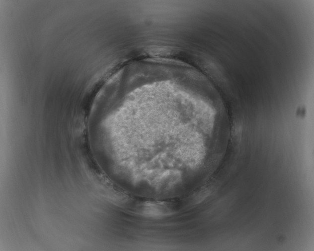 X0000113220367200910081347