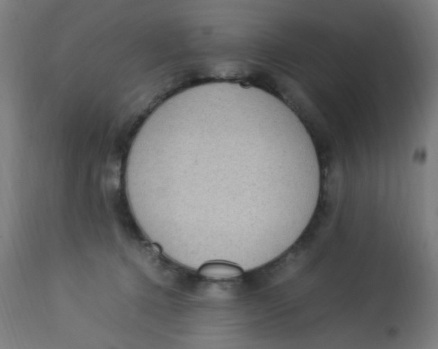 X0000113220368200910081347