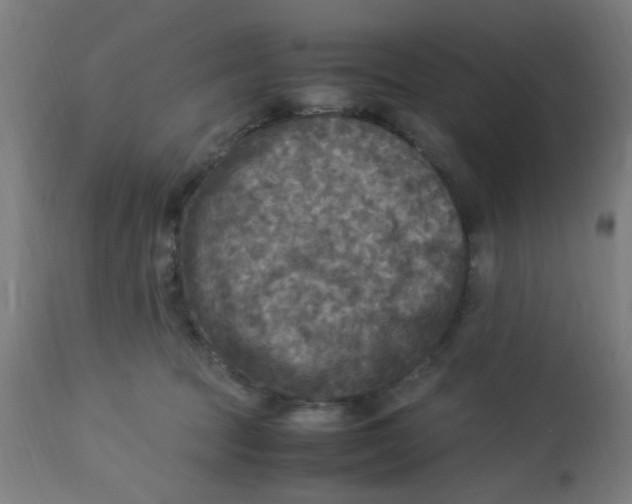 X0000113220369200910081347