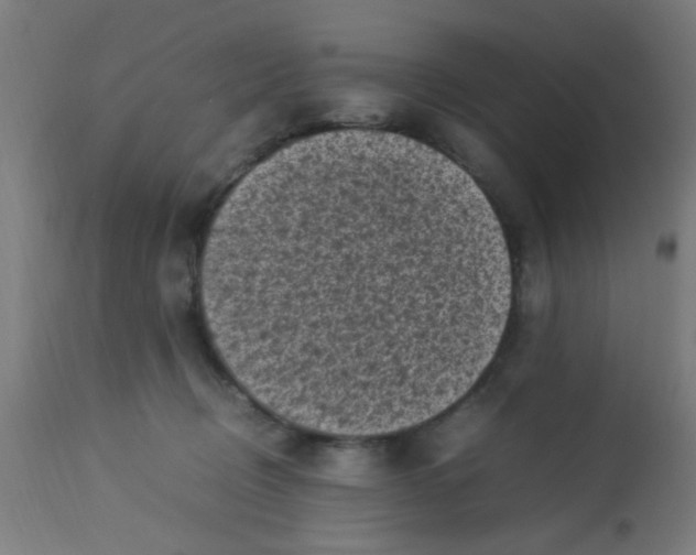 X0000113220370200910081347