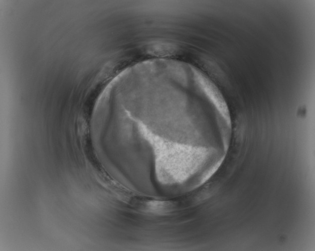 X0000113220371200910081347