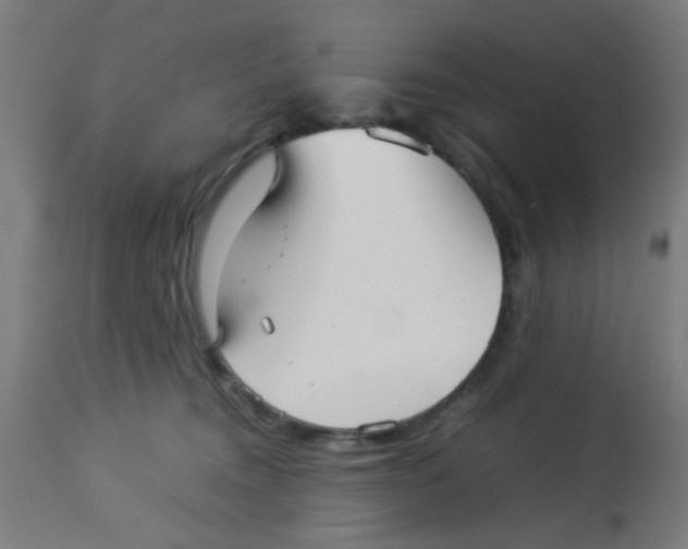 X0000113220372200910081347