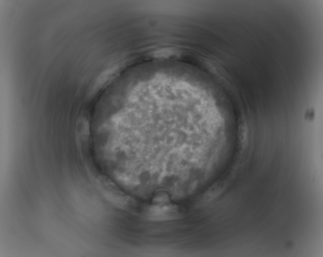 X0000113220375200910081347
