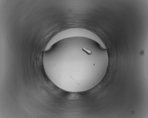 X0000113220376200910081347