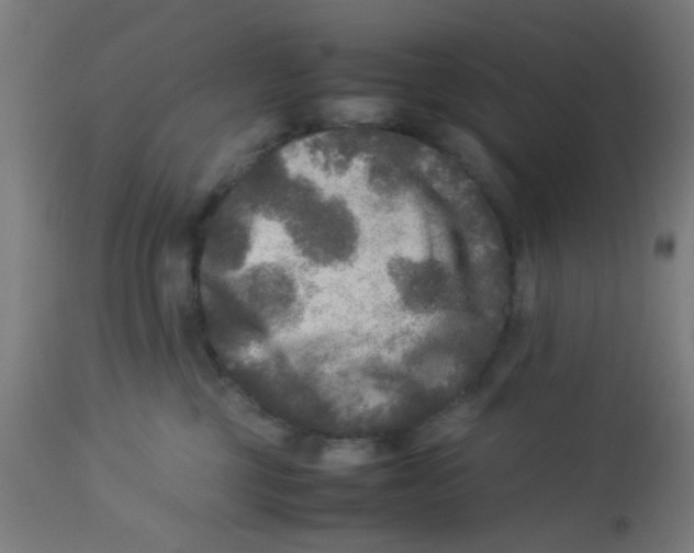 X0000113220377200910081347