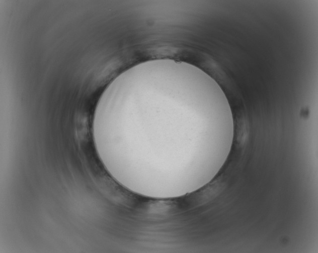 X0000113220378200910081347