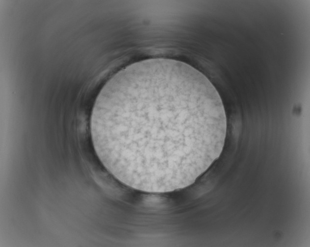 X0000113220380200910081347