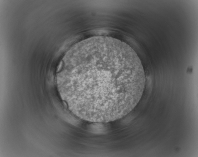 X0000113220381200910081347