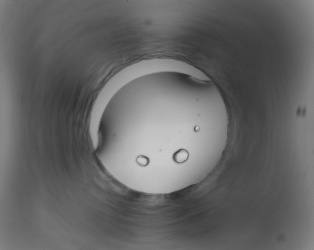 X0000113220384200910081347