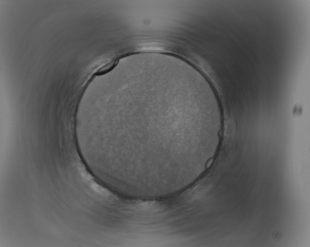 X0000113220385200910081346
