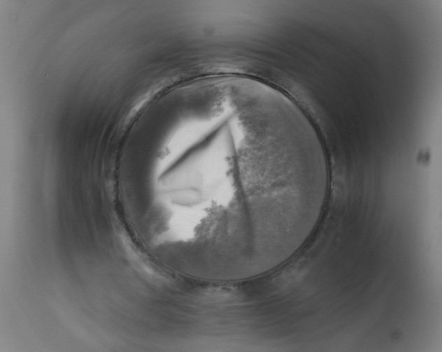X0000113220386200910081346