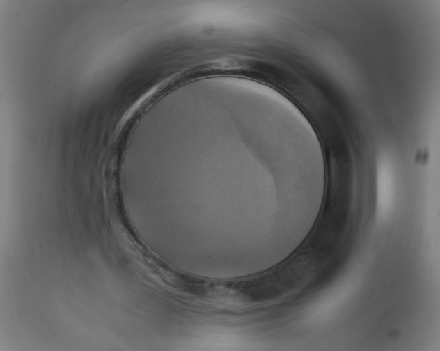 X0000113220387200910081346