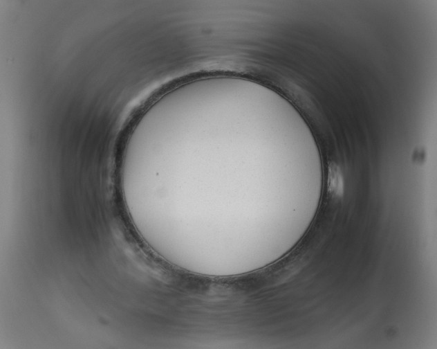 X0000113220388200910081346