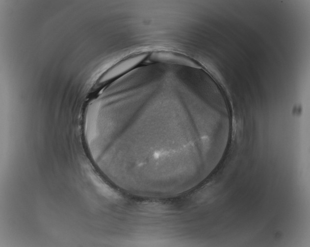 X0000113220389200910081346