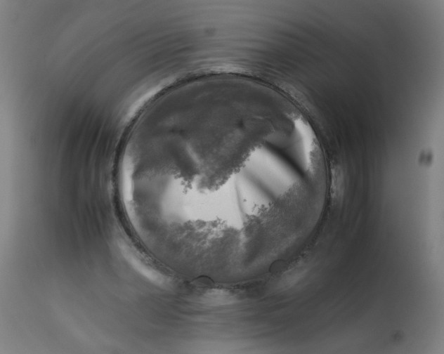 X0000113220390200910081346
