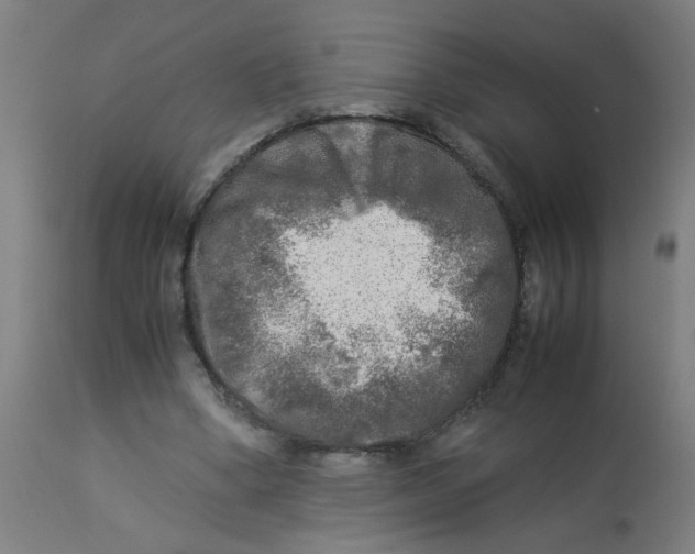 X0000113220394200910081346