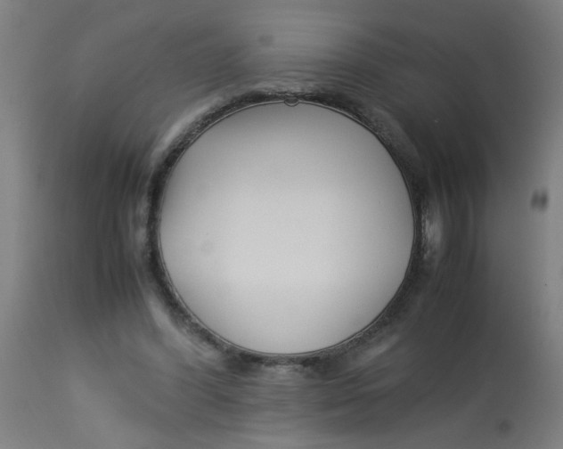 X0000113220396200910081346