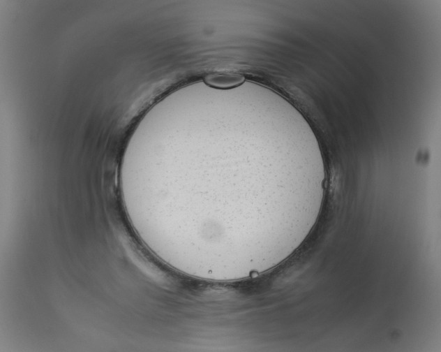 X0000113220397200910081346