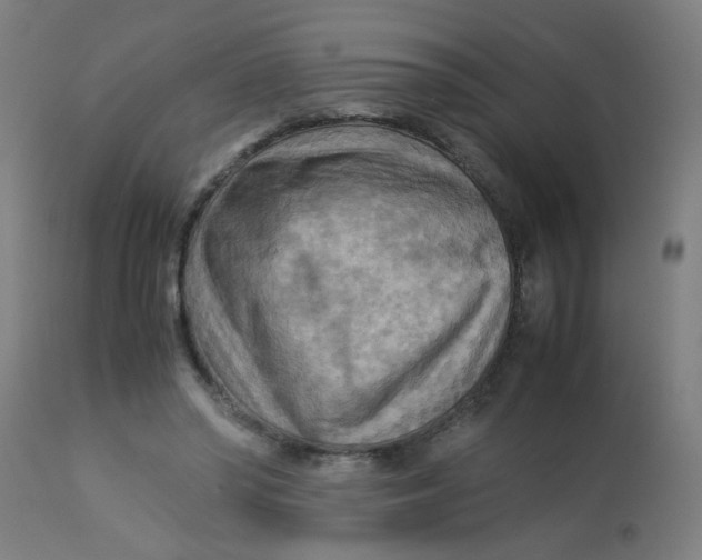 X0000113220398200910081346