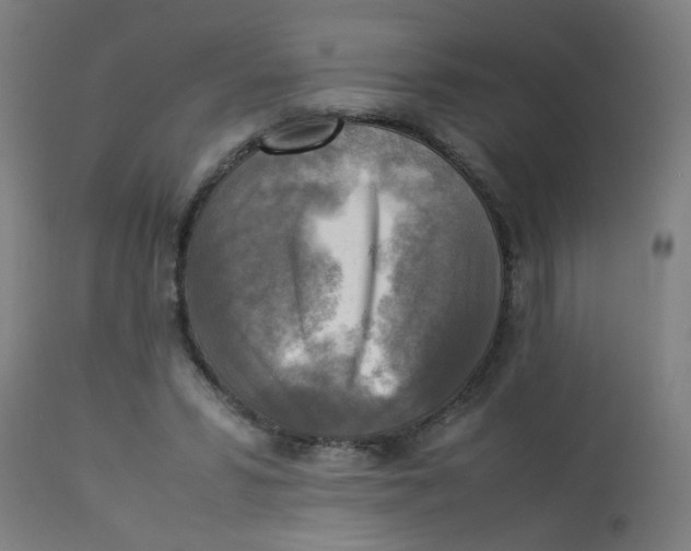 X0000113220399200910081346