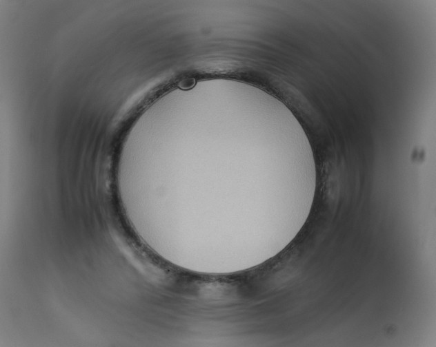 X0000113220400200910081346