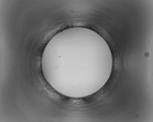 X0000113220401200910081346