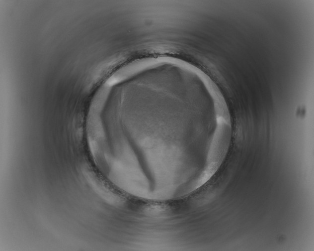 X0000113220402200910081346