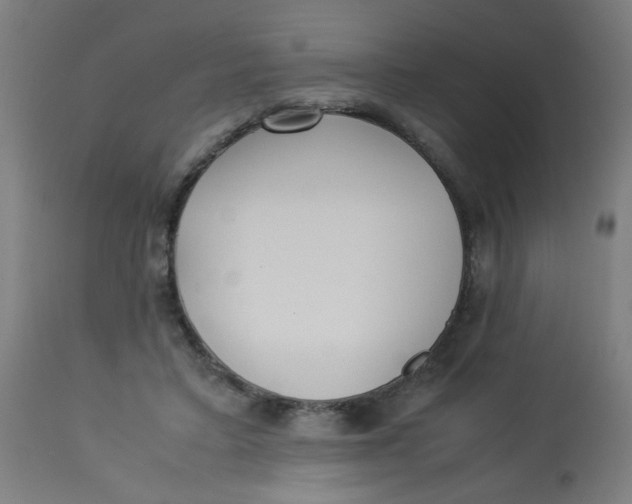 X0000113220403200910081346