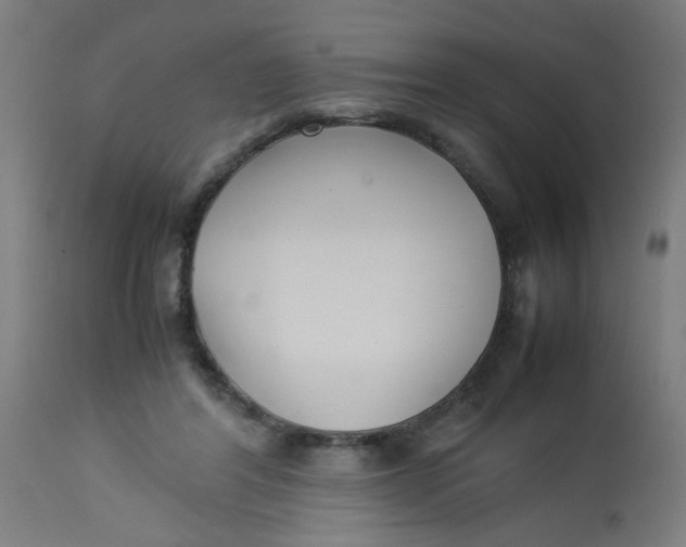 X0000113220404200910081346