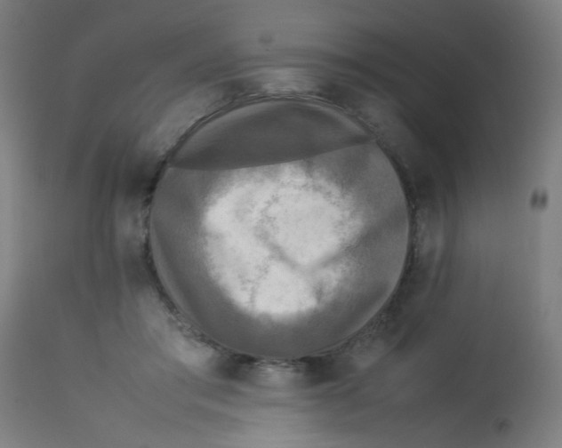 X0000113220405200910081346