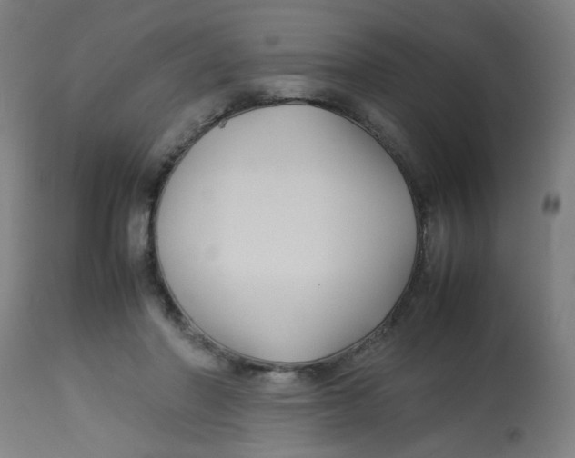X0000113220406200910081346