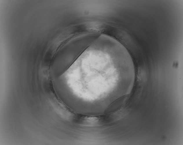X0000113220409200910081346