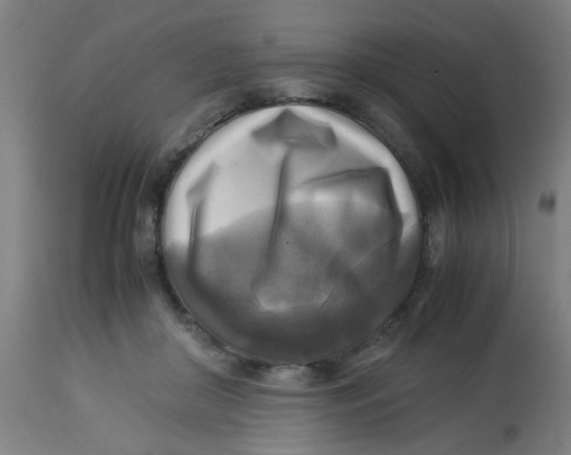X0000113220410200910081346
