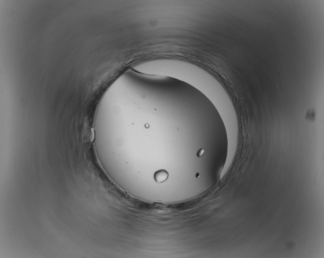 X0000113220411200910081346
