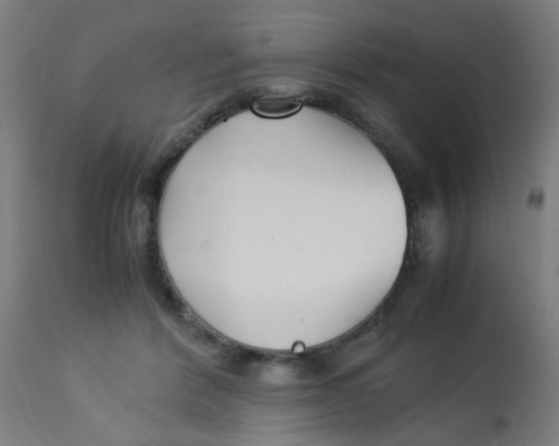 X0000113220412200910081346