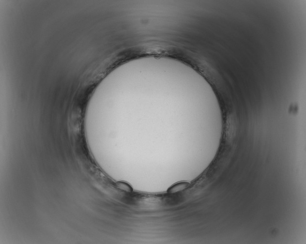 X0000113220413200910081346